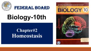 10th Biology Chapter 2 Homeostasis