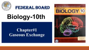 10th Biology Chapter 1 Gaseous Exchange