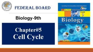 9th Biology Chapter 5 Cell Cycle