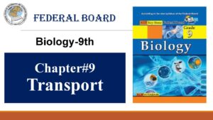 9th Biology Chapter 9 Transport