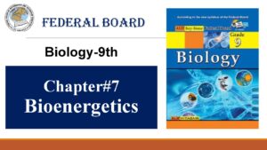 9th Biology Chapter 7 Bioenergetics